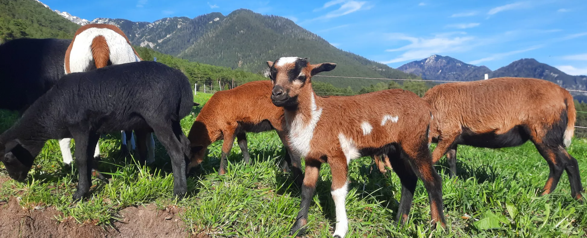 20240414-173029.1.67f2be063b23d