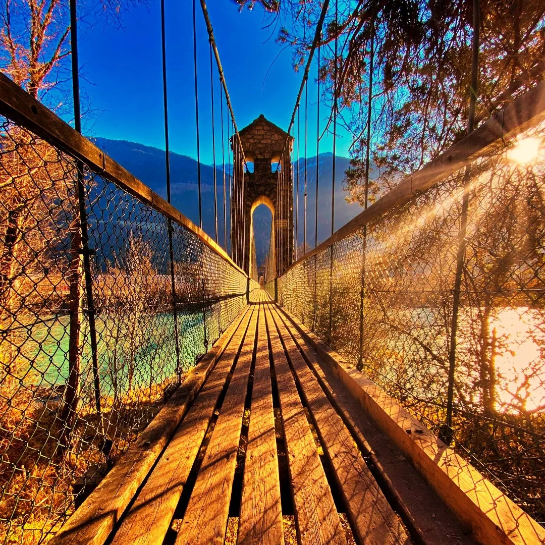 Aktivitäten Bildungsverein Ikigai Tirol